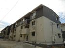 D-room桜町 B棟の間取り画像