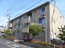 ゴールドパストラル Ⅵの間取り画像