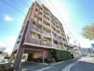 Casa Feliciaの間取り画像