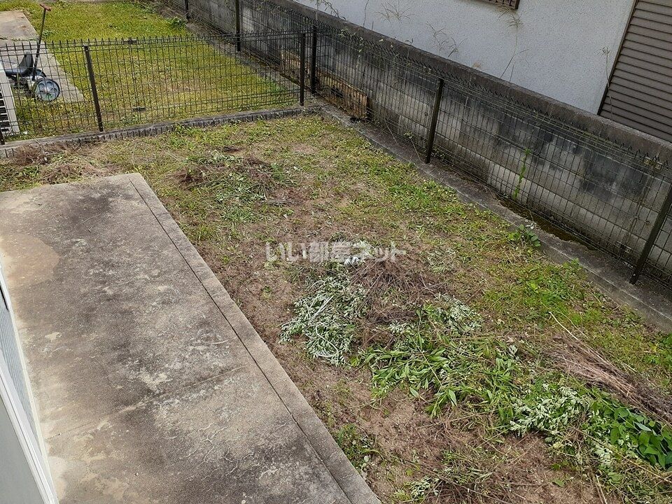 庭