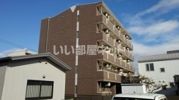 Pulitoの間取り画像