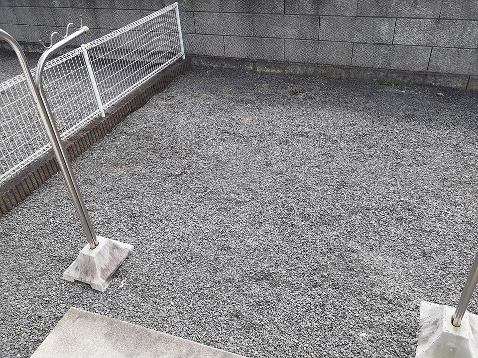 庭
