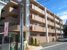 フォルトゥーナ・タワラヤの間取り画像