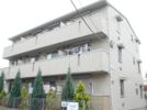 グラシューズ市川の間取り画像