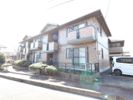 ウィルモア藤の間取り画像