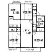 ジュネス若松の間取り画像