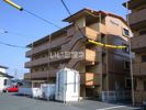ベルソーナの間取り画像