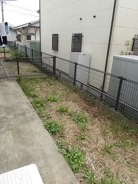 庭