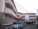 アートプラザ野路の外観