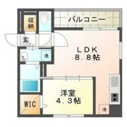 スペチアーレ大通の間取り画像