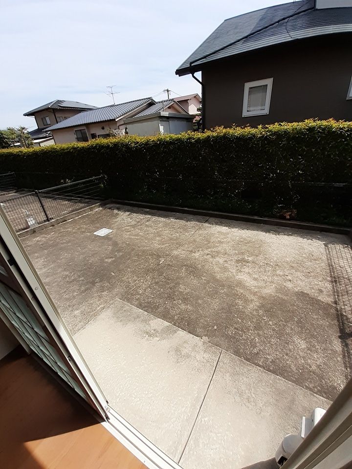 庭