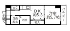 ホワイトライトの間取り画像
