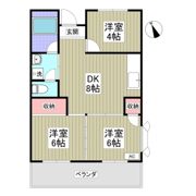 丸新ハイツの間取り画像