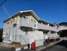 ライフ グローブの間取り画像