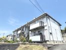 フラッグスタッフハイツBの間取り画像