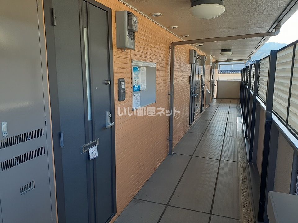 庭