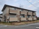 クリプトメリアの外観