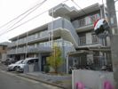 メゾンアイレス IIの外観画像