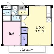 シティハイツ川地の間取り画像