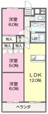 マーキュリーⅢの間取り画像