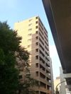 ソリッド大橋の間取り画像