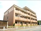 ドゥーメゾンの間取り画像