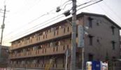 エーデルハイムAの間取り画像