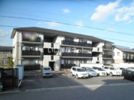 セレッソガーデン Bの間取り画像