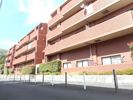 ベルヴェデーレ調布の間取り画像