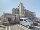 ディナスティ田村の間取り画像