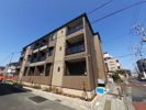Domani（ドマーニ）の間取り画像
