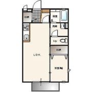 ミラドール C棟の間取り画像