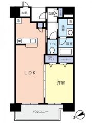ディアメゾン新白島駅の間取り画像