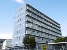 BlueWing鯉江本町の間取り画像