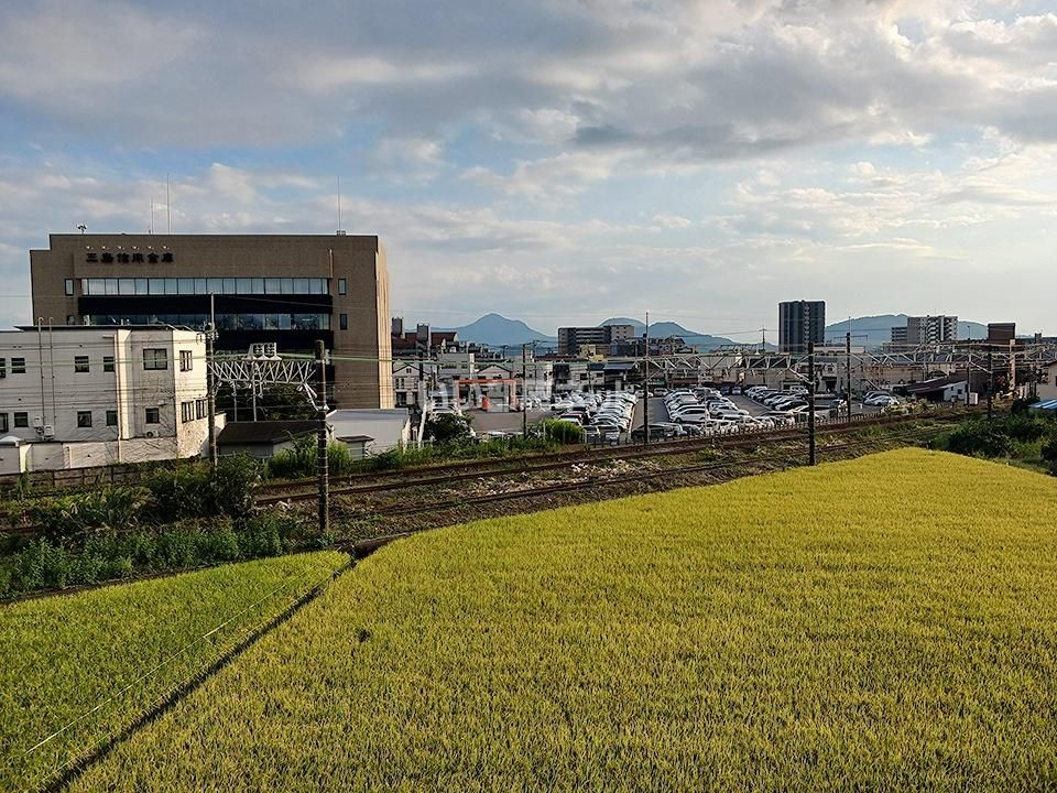 眺望