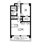 アメジストセラの間取り画像
