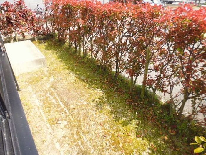 庭