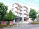 パステル八芳（パステルハッポウ）の間取り画像