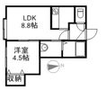 ルーエ南平岸の間取り画像