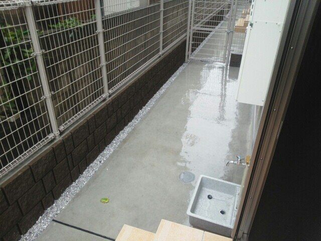 庭