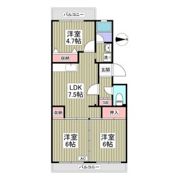 セジュールマンションの間取り画像