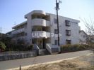 サンハイム和田の間取り画像