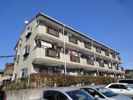 マメゾンT・Sの間取り画像