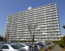 エクセル津田沼810号室の間取り画像
