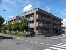 グライス武藤の間取り画像