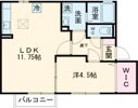 セジュールマロンの間取り画像