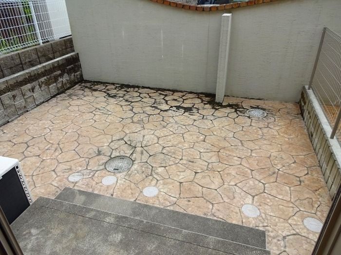 庭