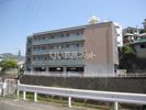 ディアコート大橋の間取り画像
