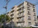 佐貫ダイヤモンドマンションの間取り画像