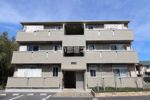 大黒屋 九番館の間取り画像